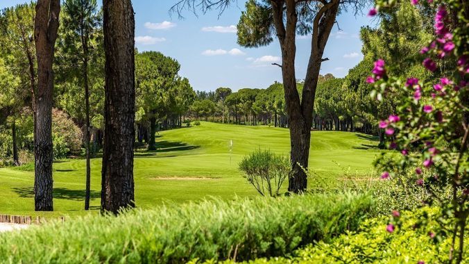 Faldo Course 1